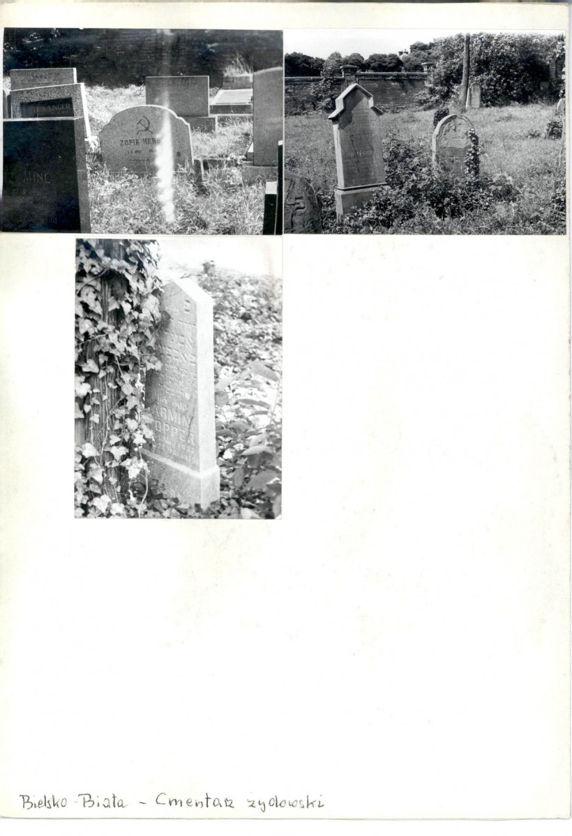 Karta cmentarza, skan nr 6