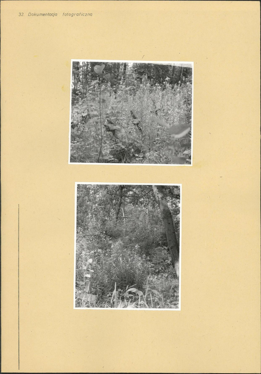 Karta cmentarza, skan nr 4