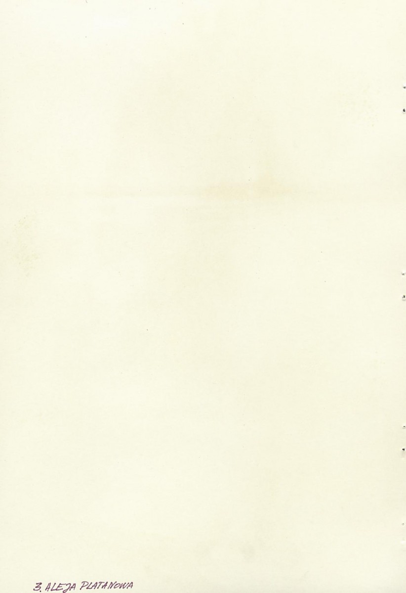 Karta cmentarza, skan nr 11