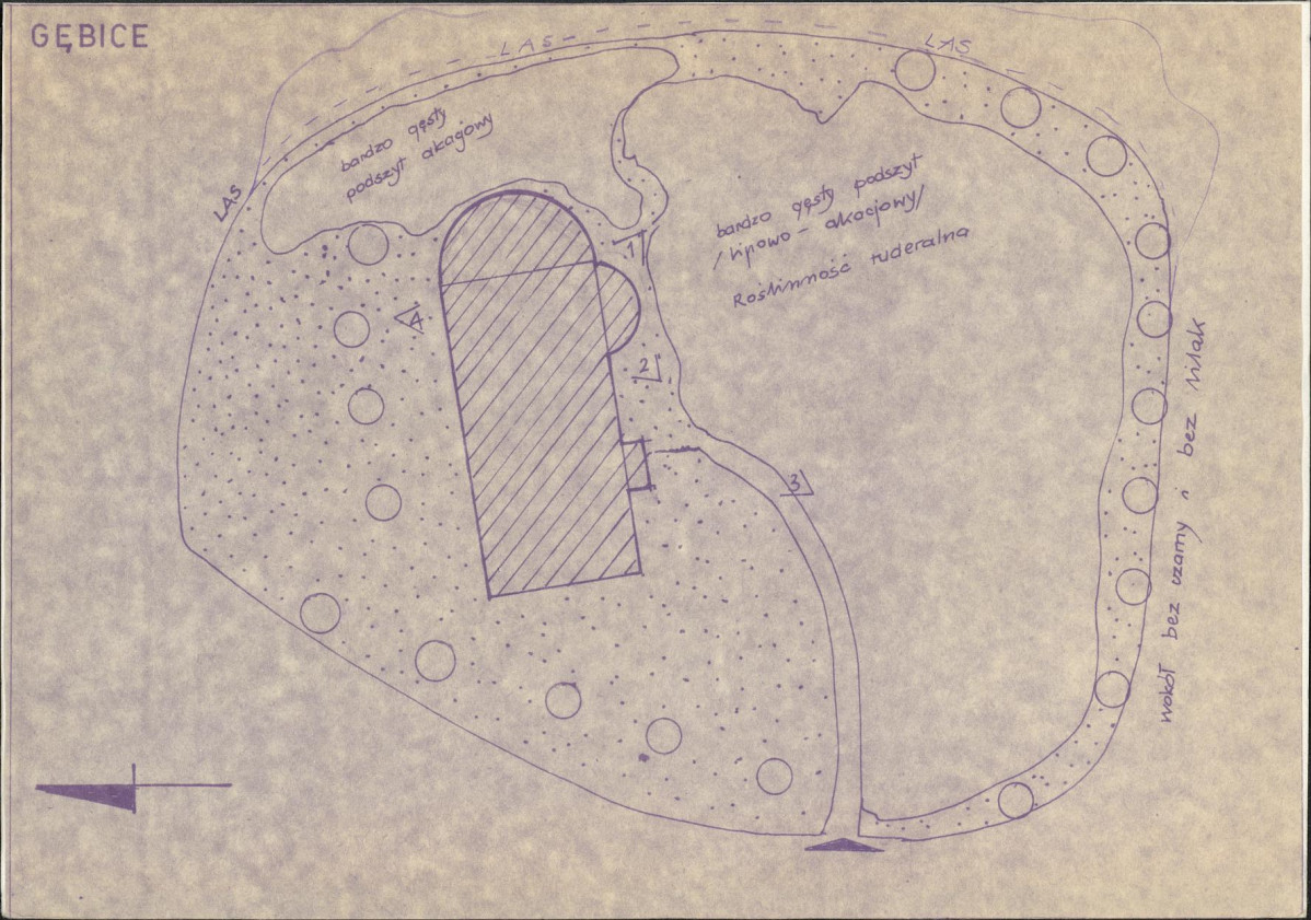 Karta cmentarza, skan nr 3