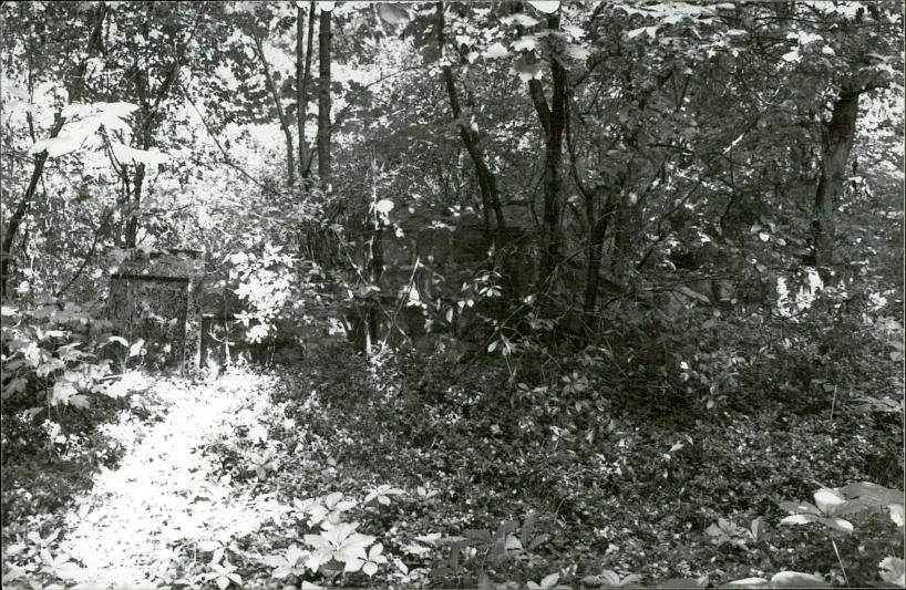 Karta cmentarza, skan nr 6