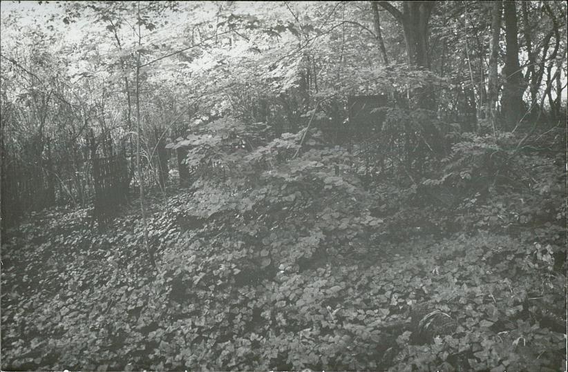 Karta cmentarza, skan nr 8