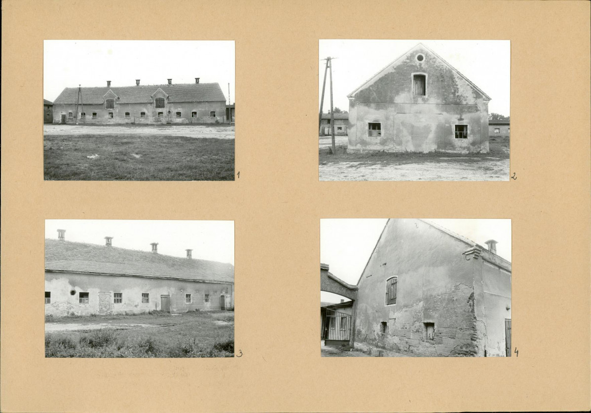 Karta biała, skan nr 16