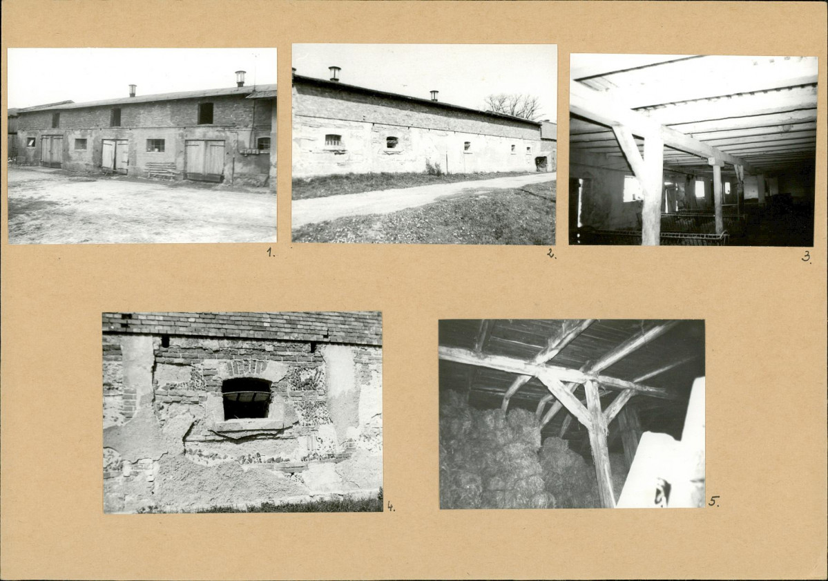 Karta biała, skan nr 18