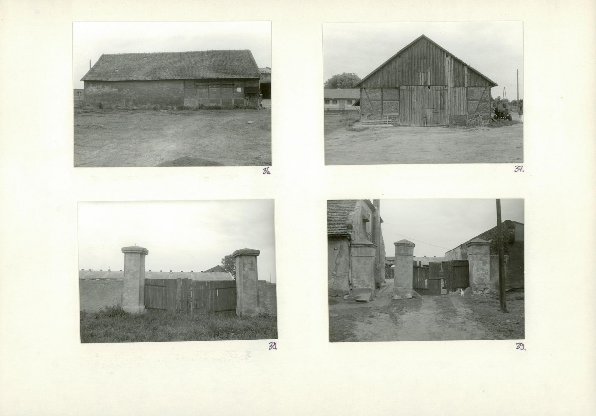 Karta biała, skan nr 20