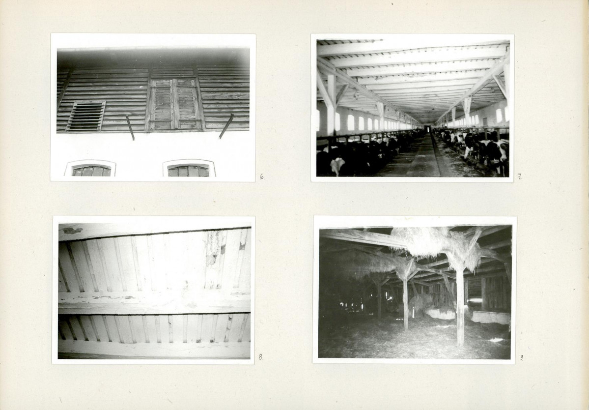 Karta biała, skan nr 8