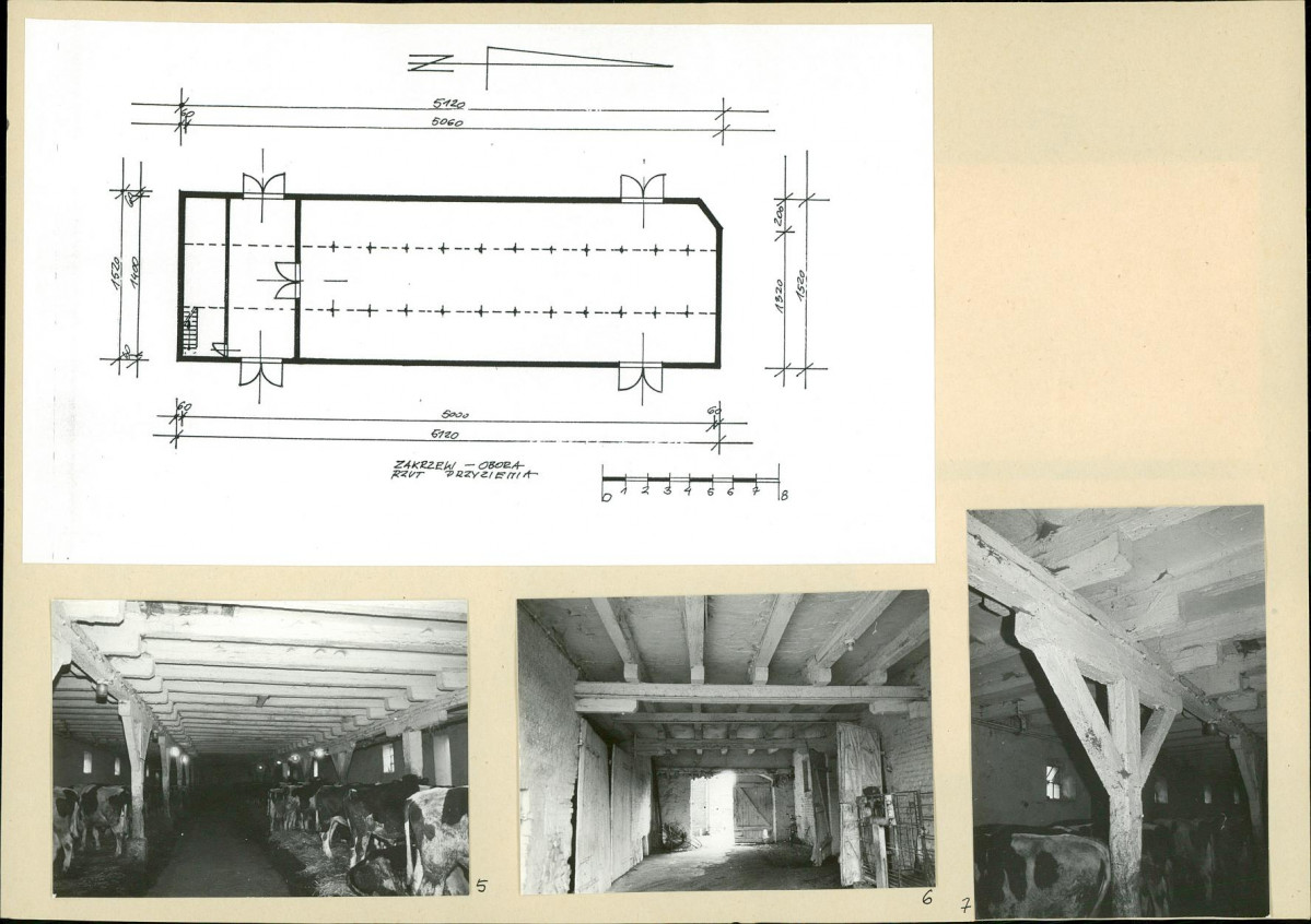 Karta biała, skan nr 6