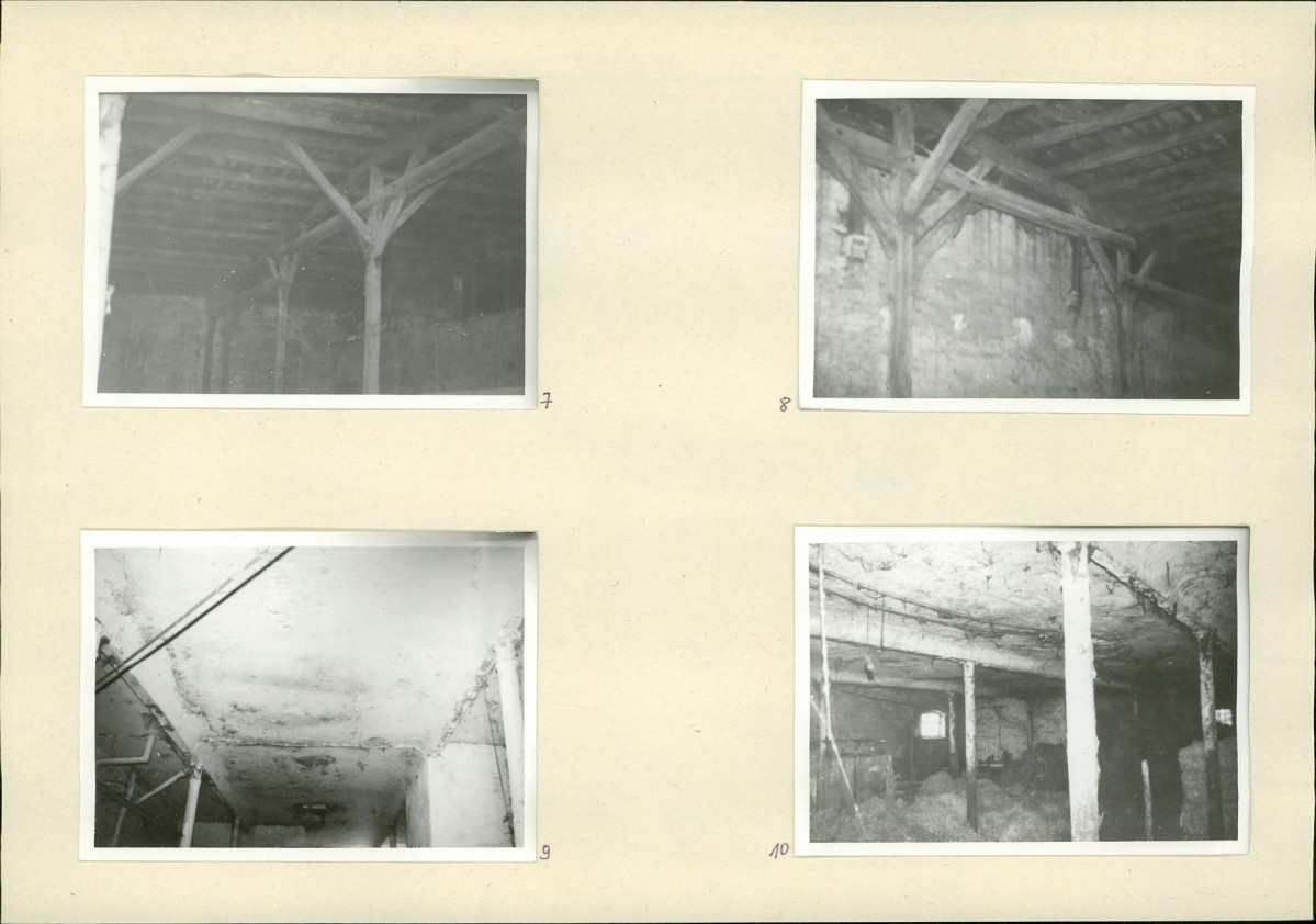 Karta biała, skan nr 8