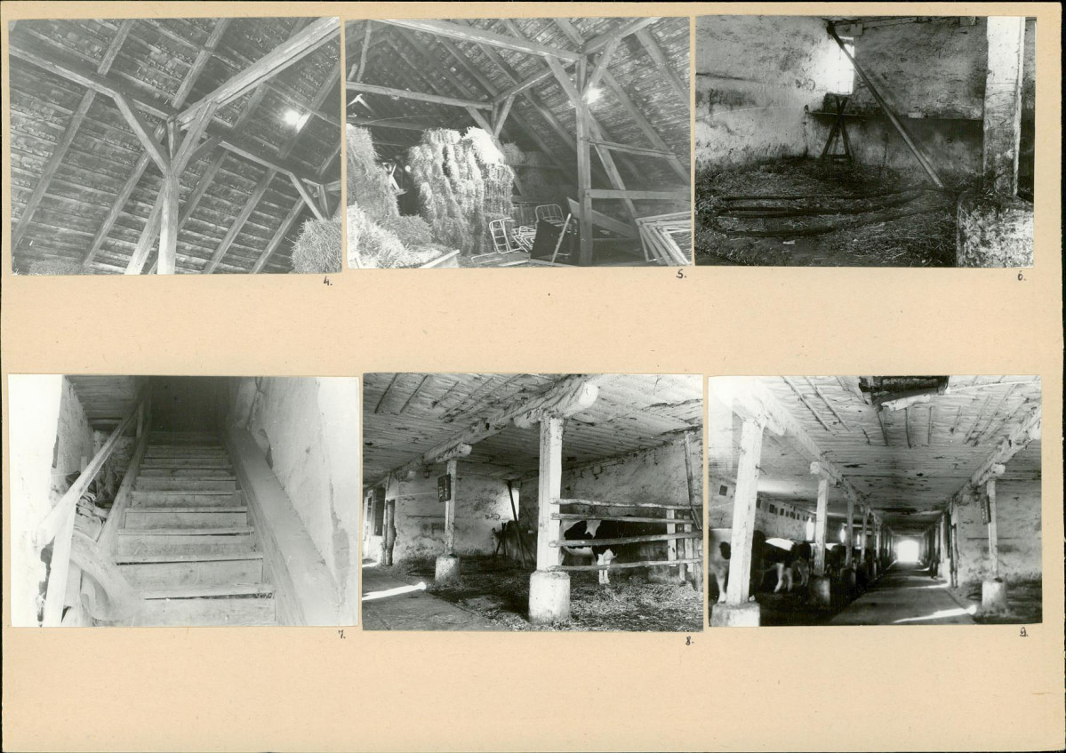 Karta biała, skan nr 6