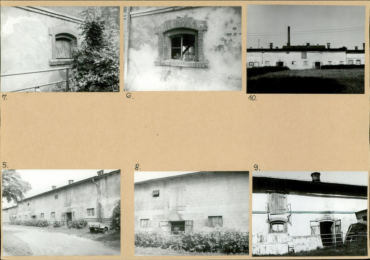 Karta biała, skan nr 8