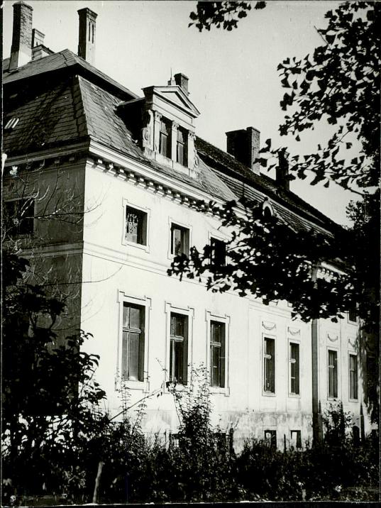 Karta zielona, skan nr 3