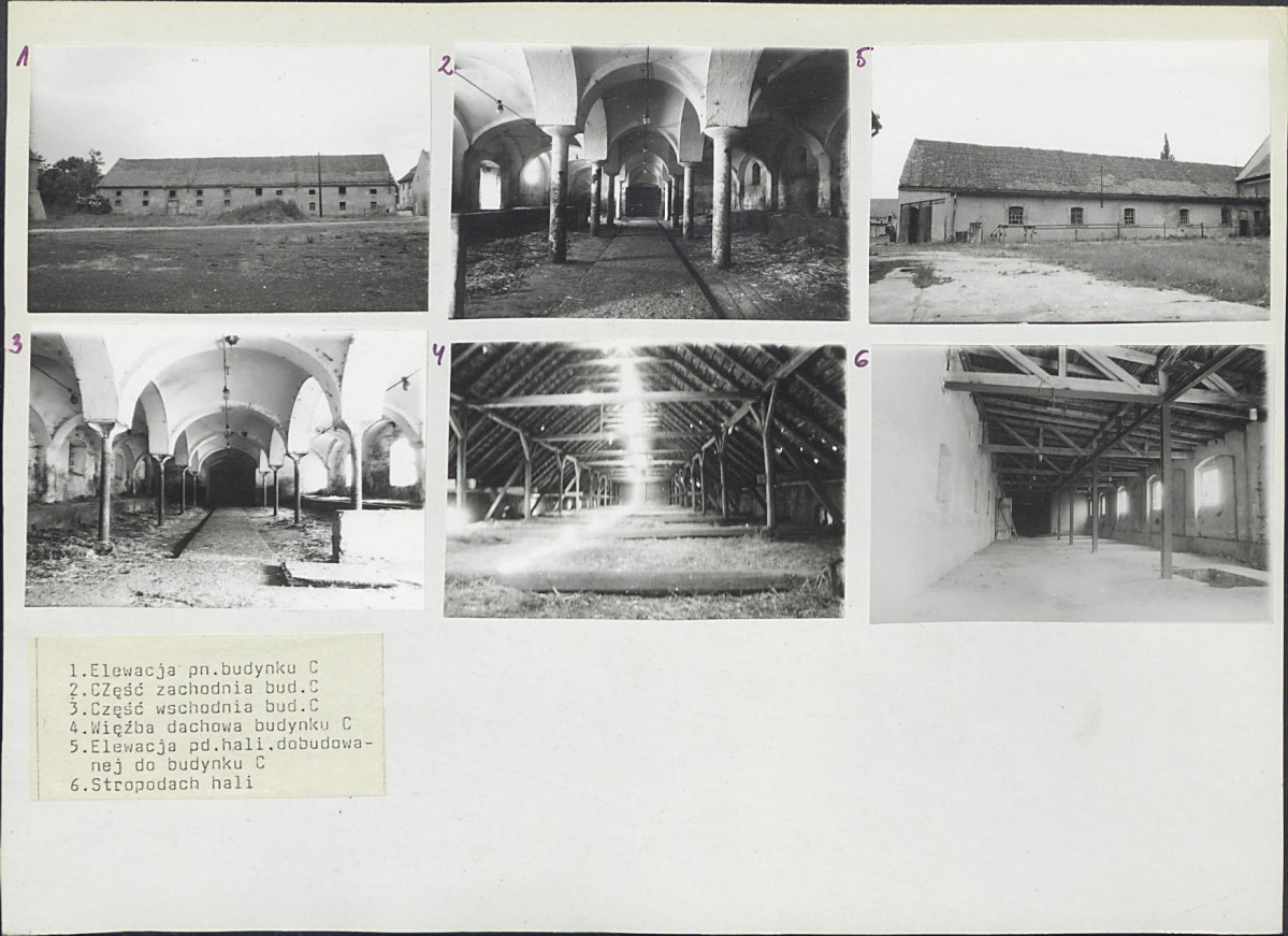 Karta biała, skan nr 10