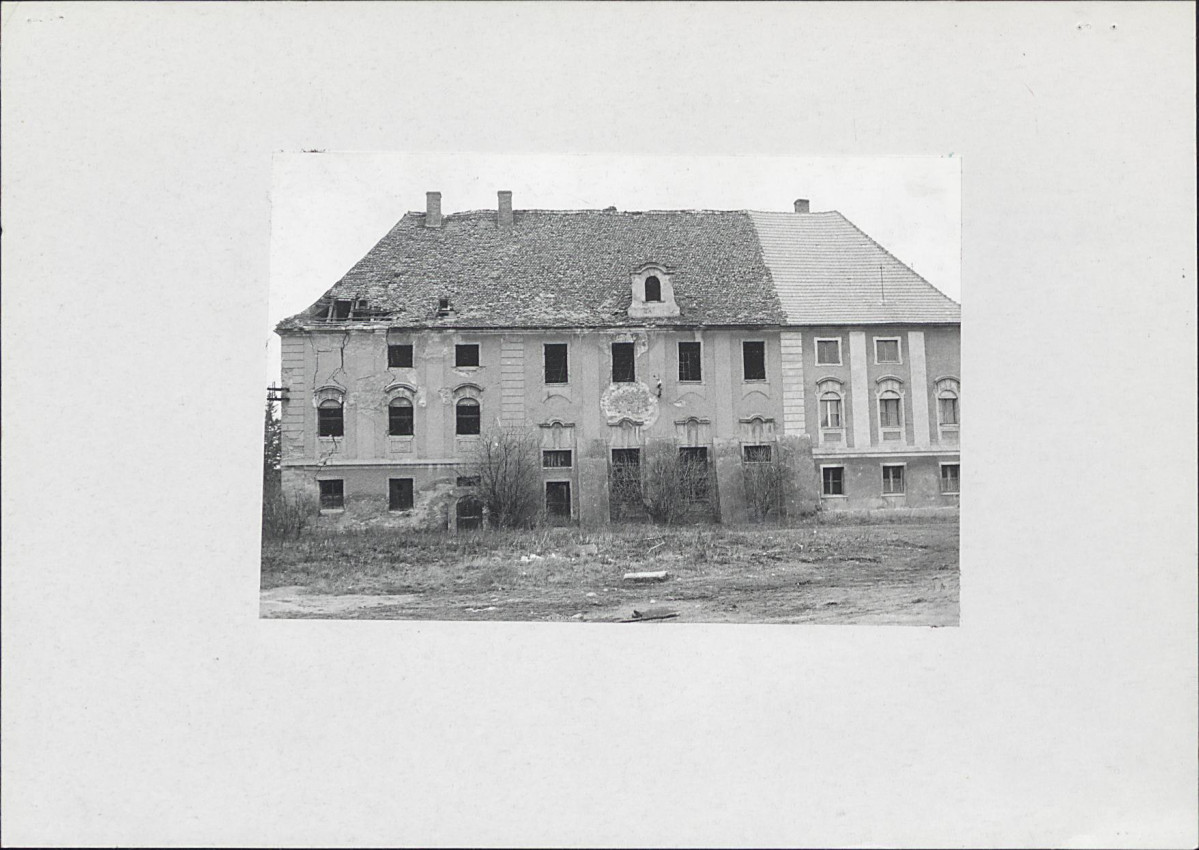 Karta zielona, skan nr 4