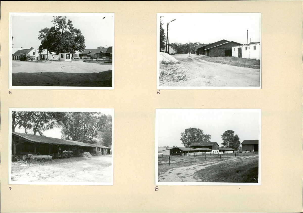 Karta biała, skan nr 8