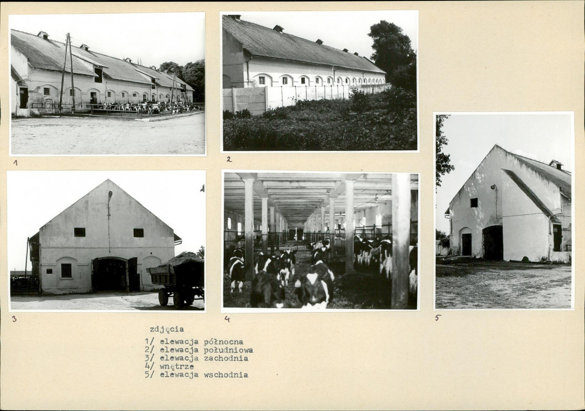 Karta biała, skan nr 16