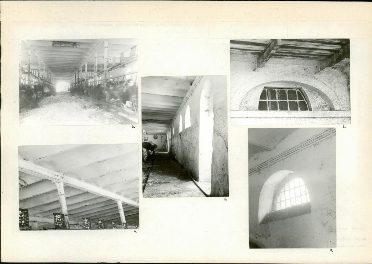 Karta biała, skan nr 6