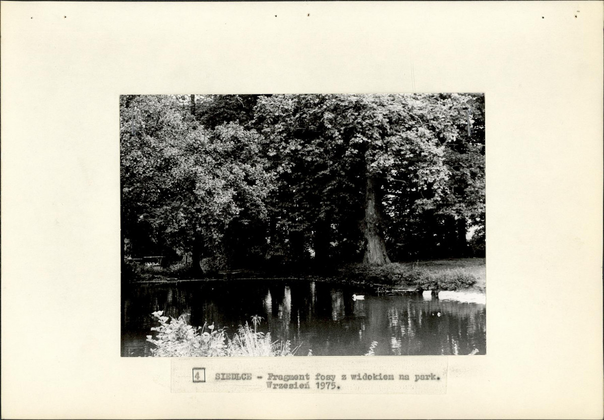 Ewidencja parkowa, skan nr 23