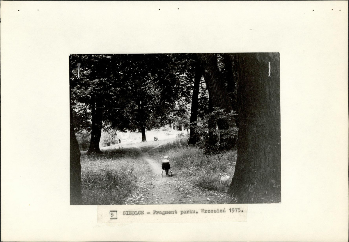 Ewidencja parkowa, skan nr 24