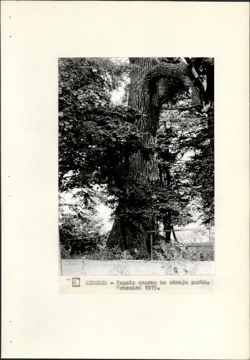 Ewidencja parkowa, skan nr 25