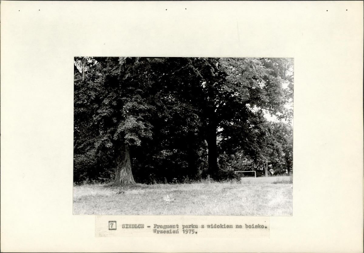 Ewidencja parkowa, skan nr 26