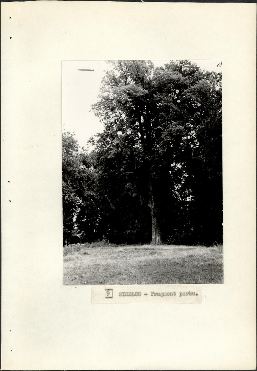 Ewidencja parkowa, skan nr 28