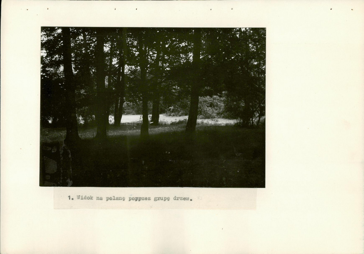 Ewidencja parkowa, skan nr 19