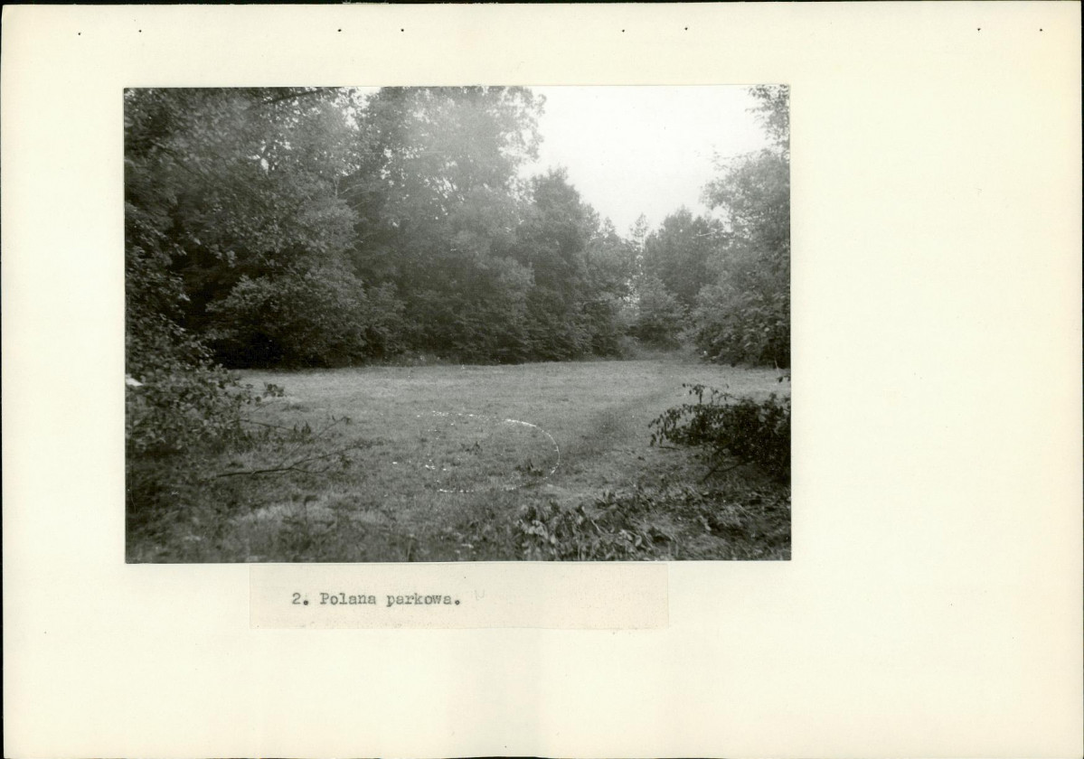 Ewidencja parkowa, skan nr 20