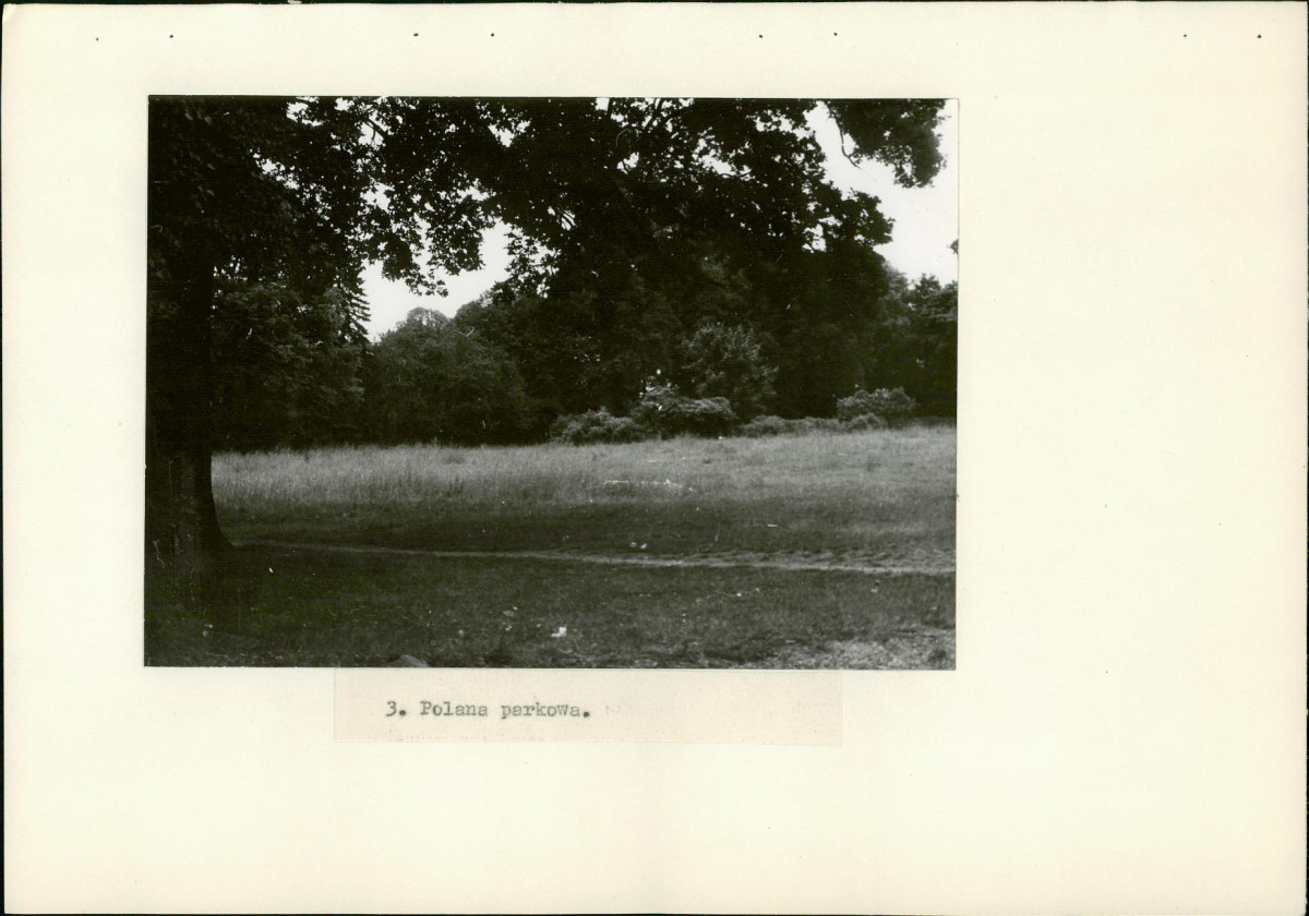 Ewidencja parkowa, skan nr 21