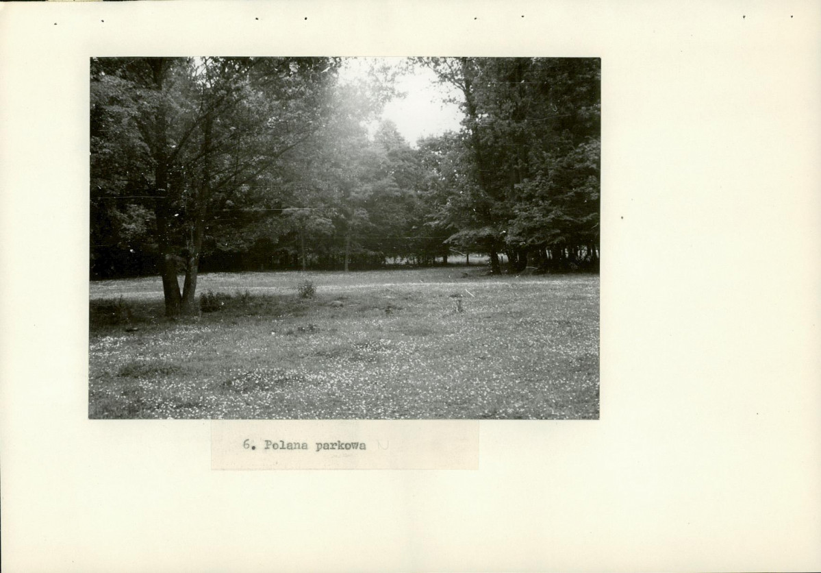 Ewidencja parkowa, skan nr 24