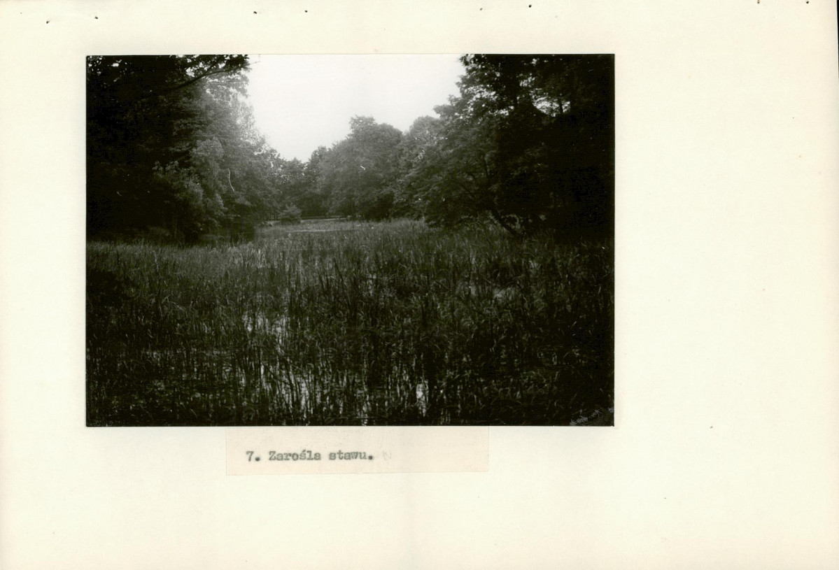 Ewidencja parkowa, skan nr 25