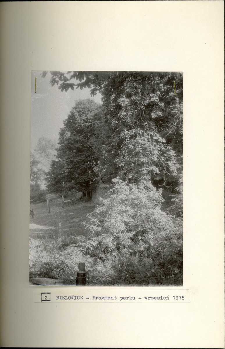 Ewidencja parkowa, skan nr 19