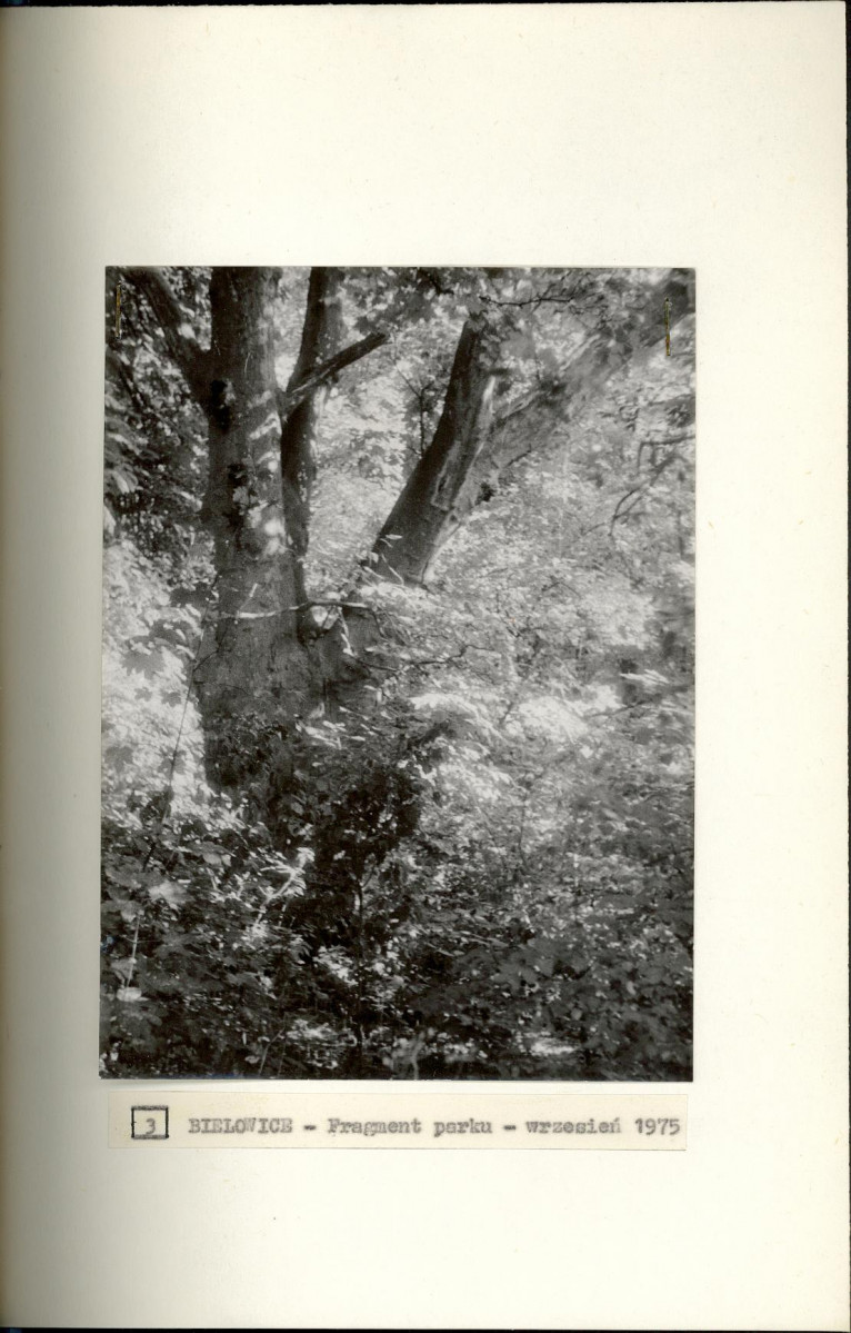 Ewidencja parkowa, skan nr 20