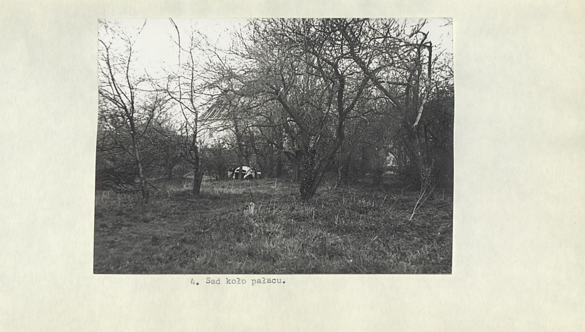 Ewidencja parkowa, skan nr 19