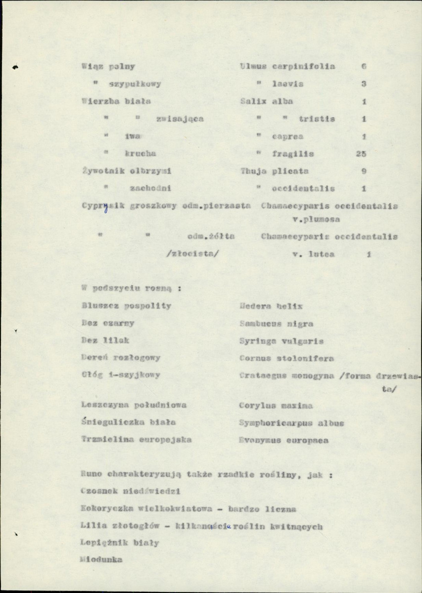 EP - Ewidencja parkowa, skan nr 13