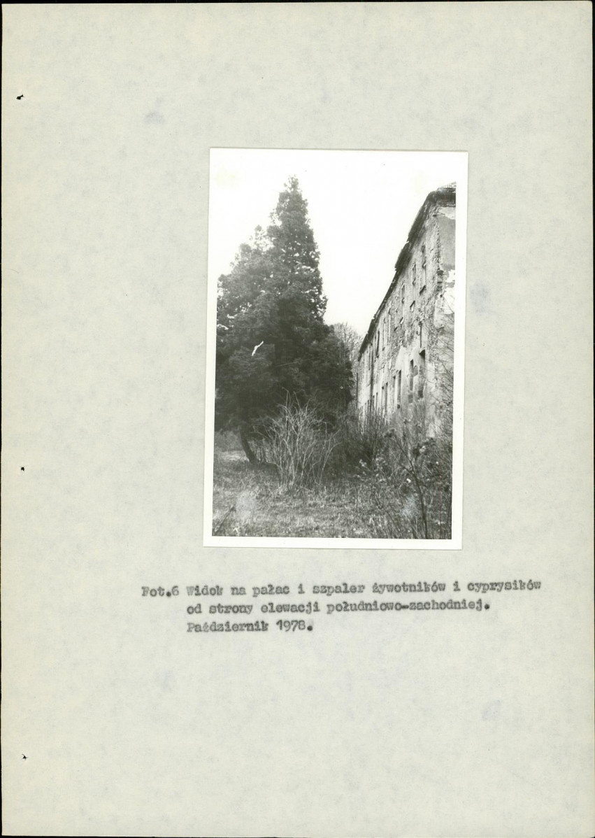 EP - Ewidencja parkowa, skan nr 20