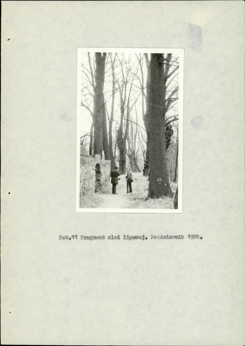 EP - Ewidencja parkowa, skan nr 23