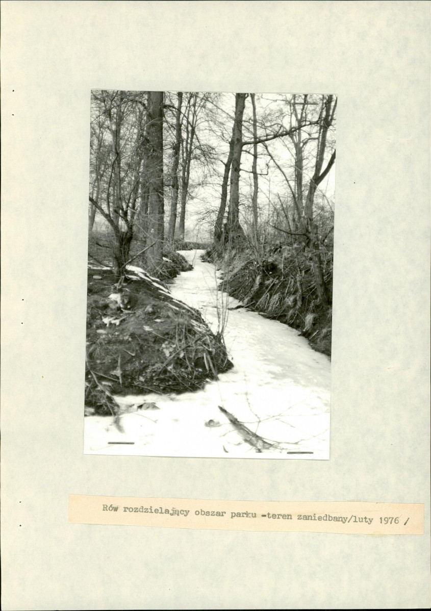 Ewidencja parkowa, skan nr 17