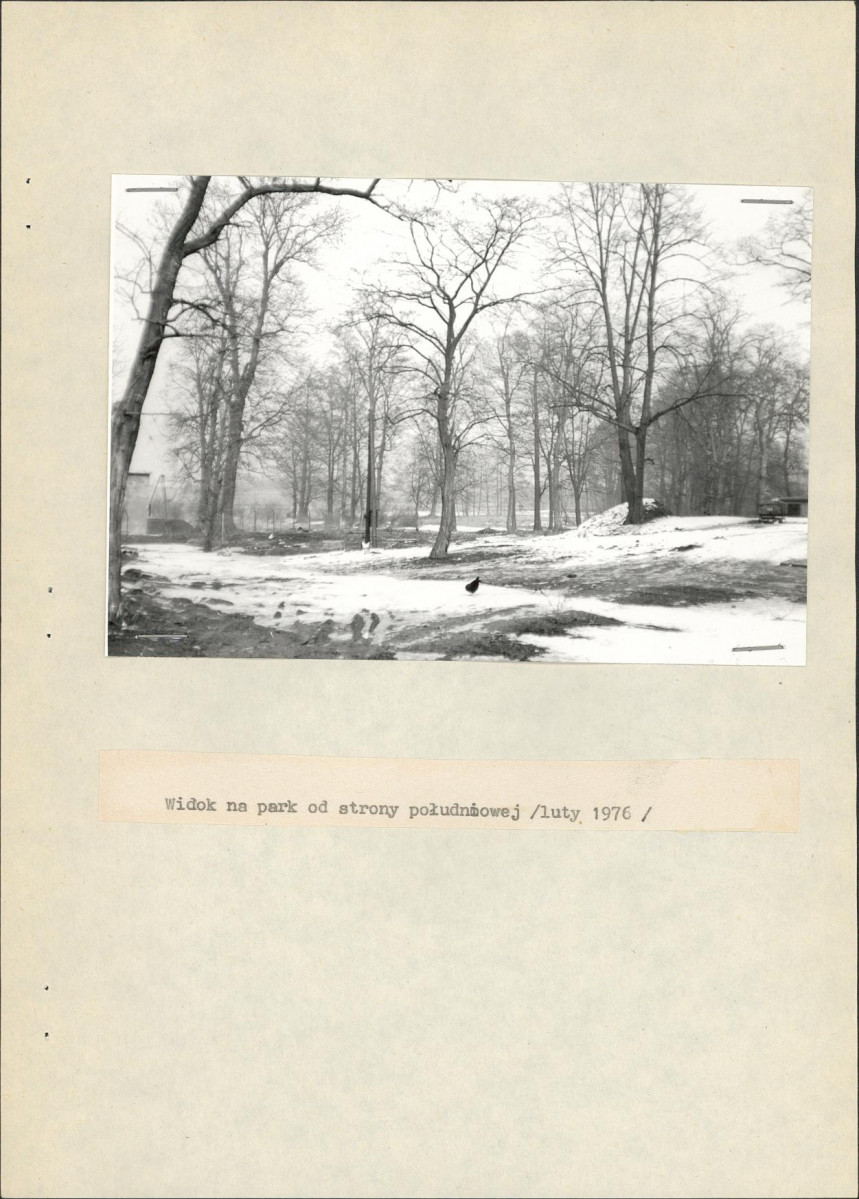 Ewidencja parkowa, skan nr 19