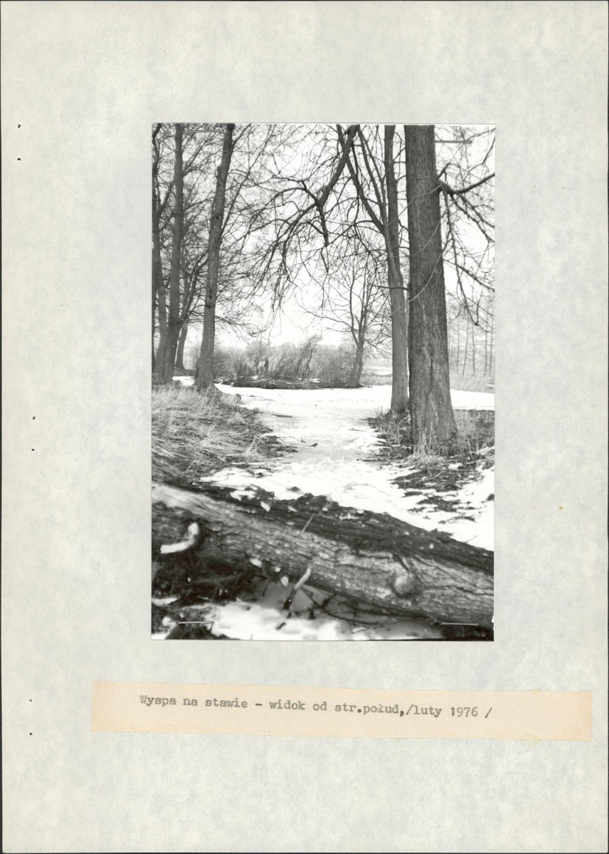 Ewidencja parkowa, skan nr 20