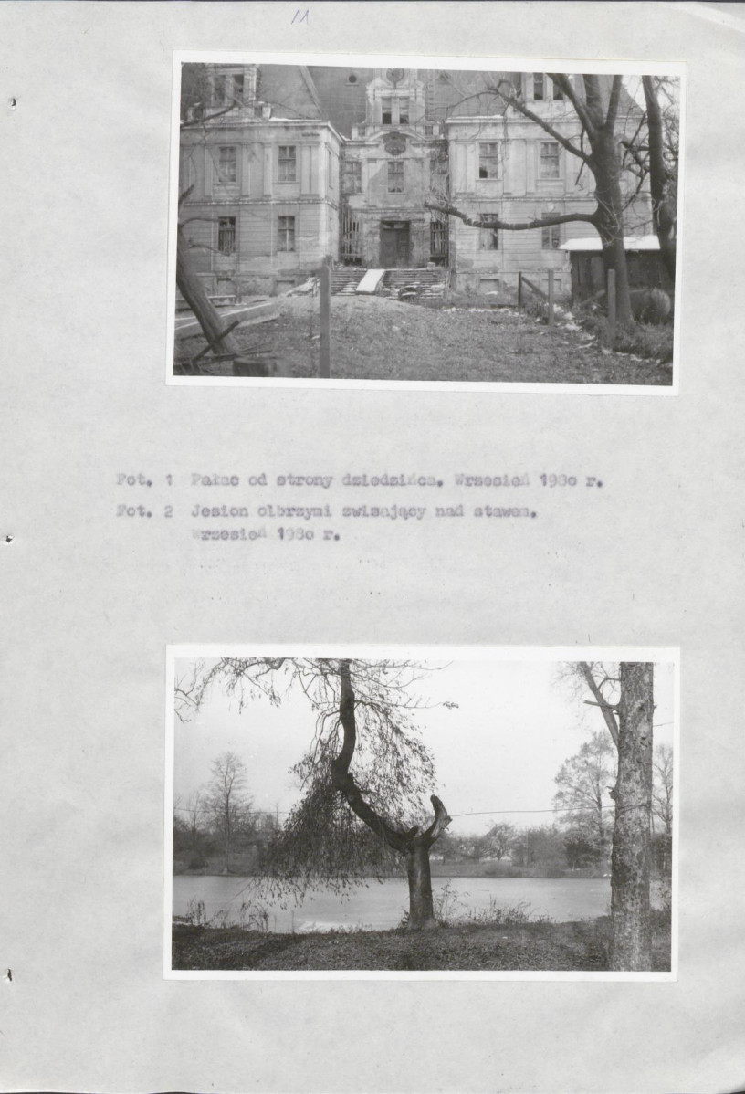 EP - Ewidencja parkowa, skan nr 17