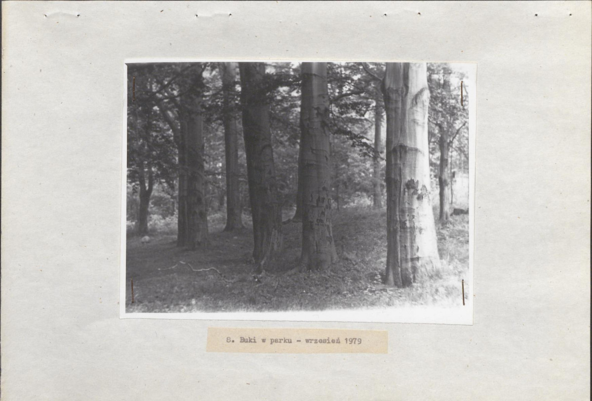 Ewidencja parkowa, skan nr 23