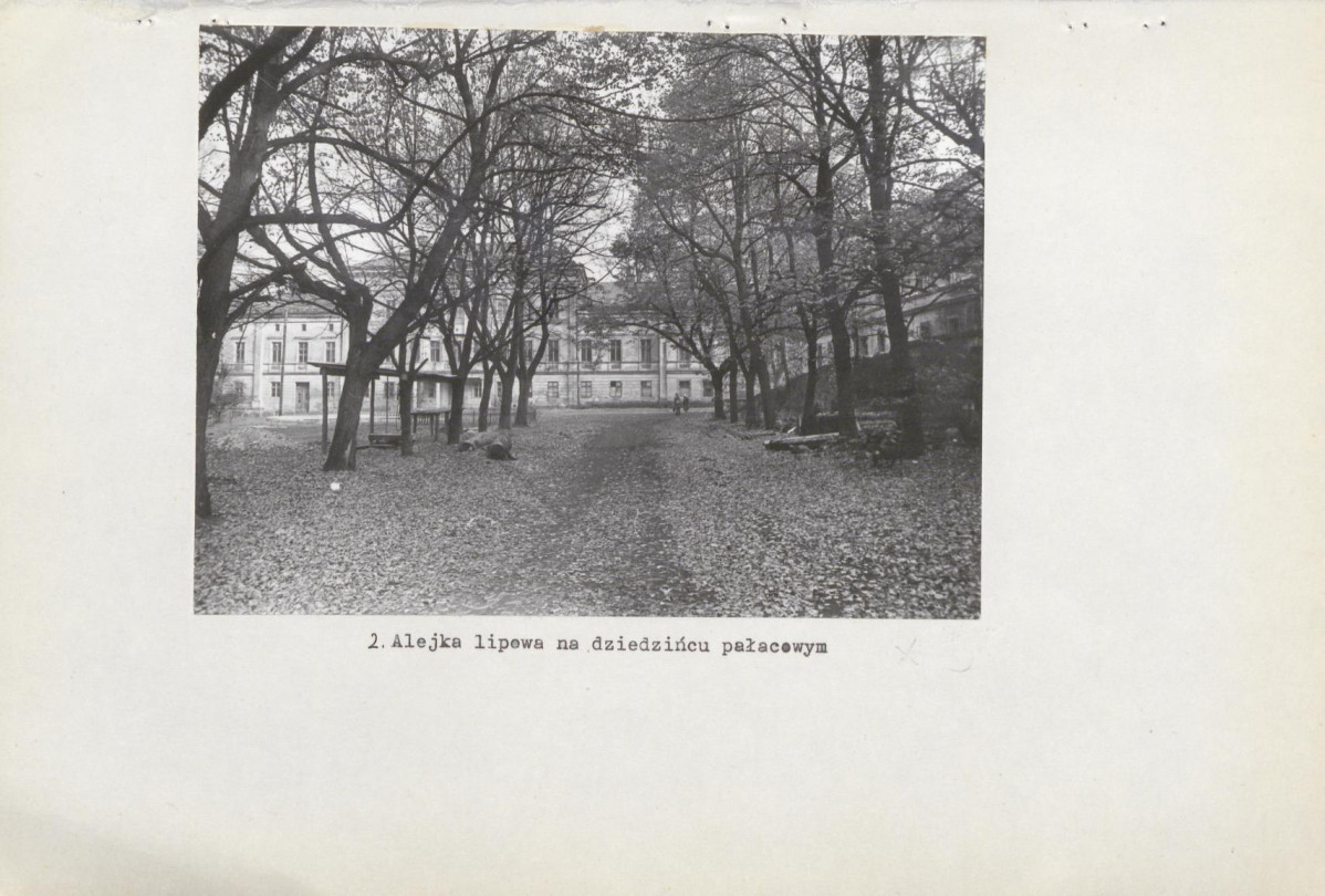 Ewidencja parkowa, skan nr 22