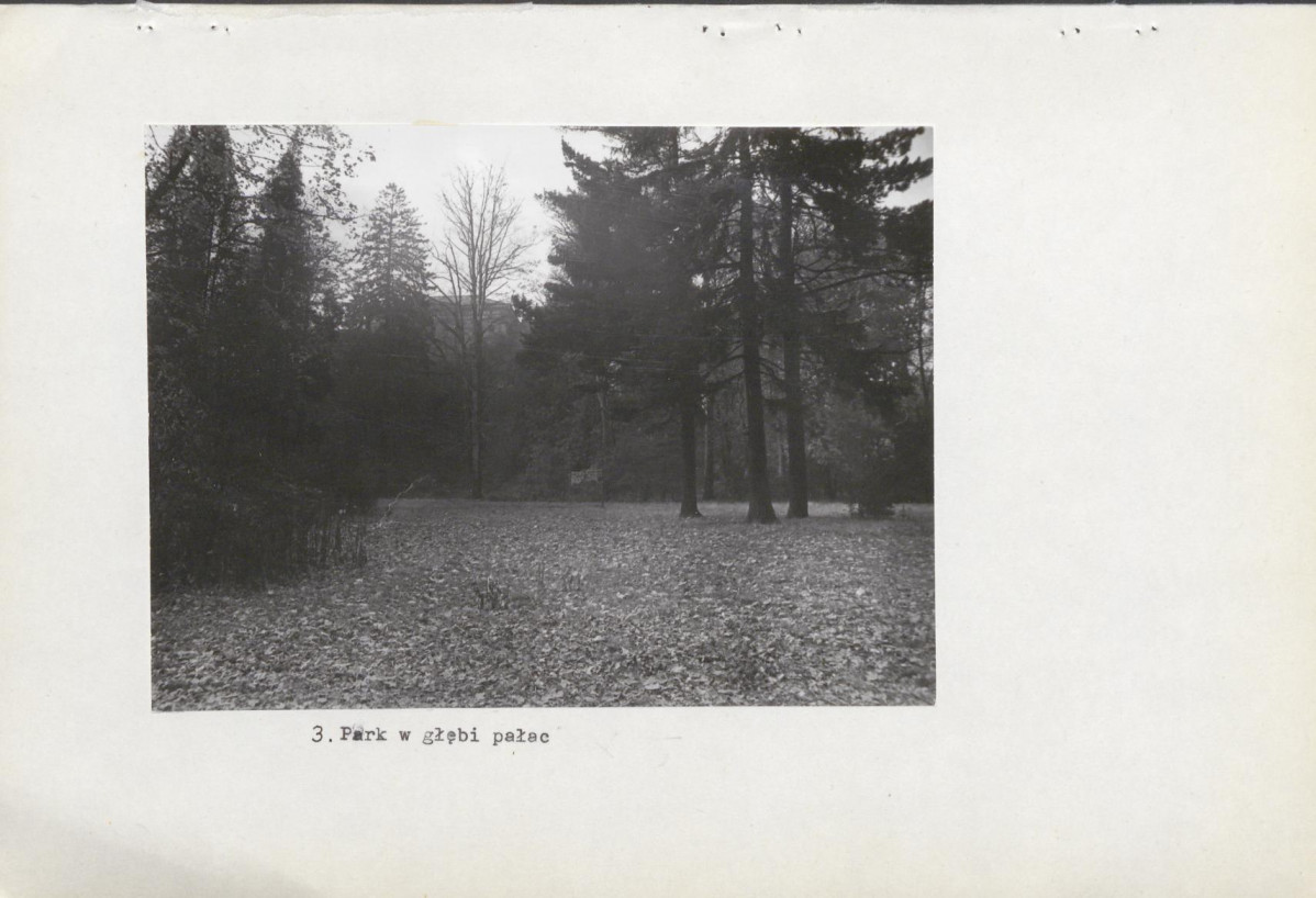 Ewidencja parkowa, skan nr 23