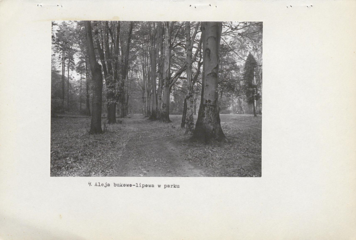 Ewidencja parkowa, skan nr 24