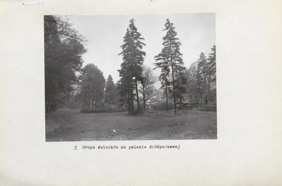 Ewidencja parkowa, skan nr 25