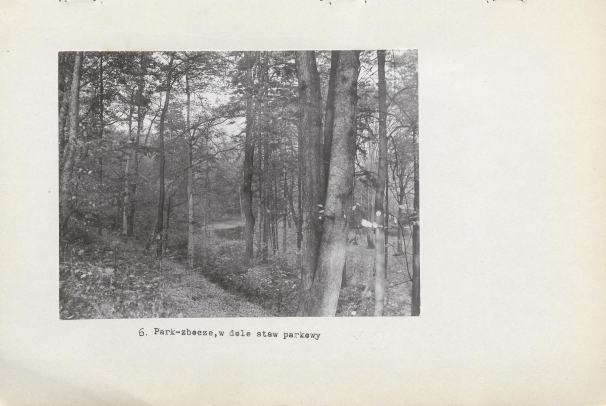 Ewidencja parkowa, skan nr 26