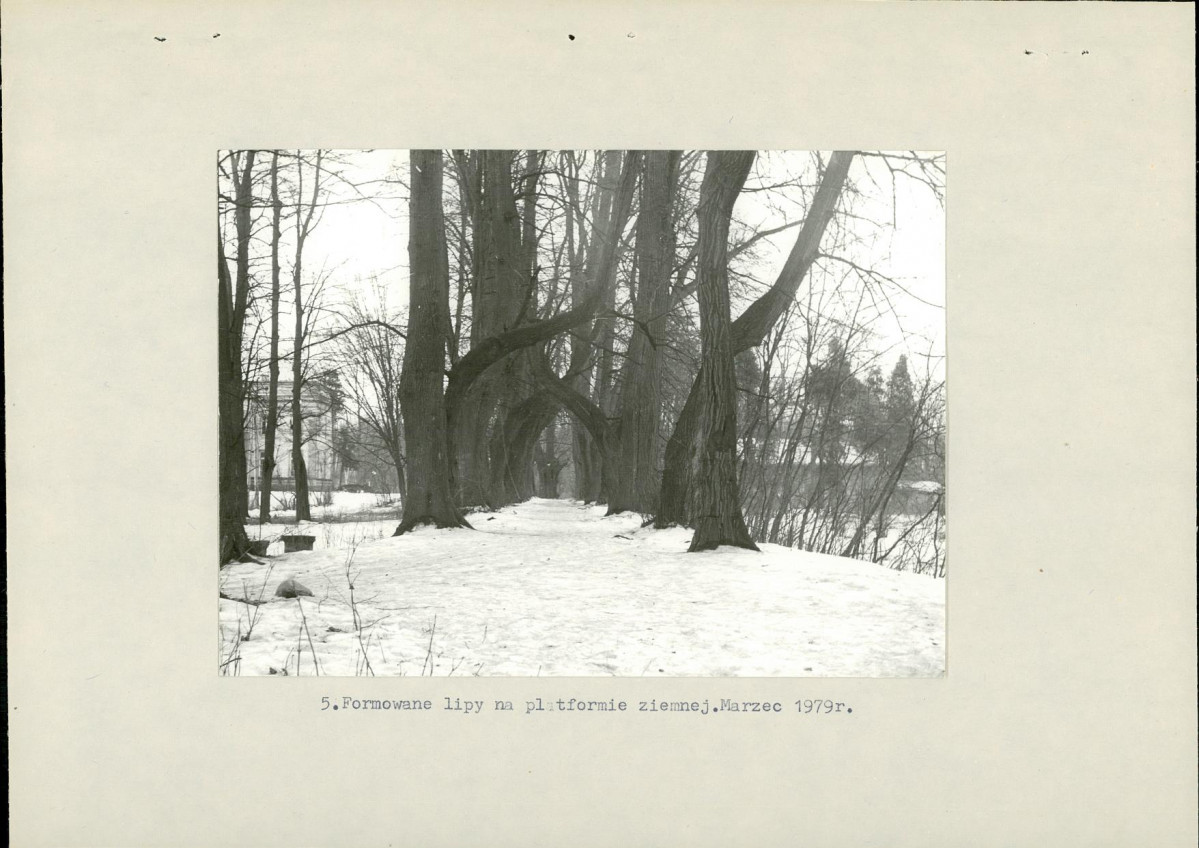 Ewidencja parkowa, skan nr 21