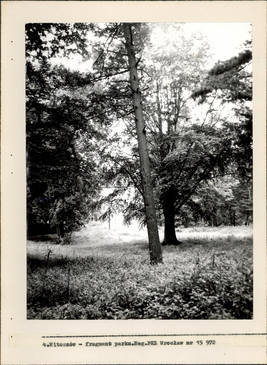 Ewidencja parkowa, skan nr 20