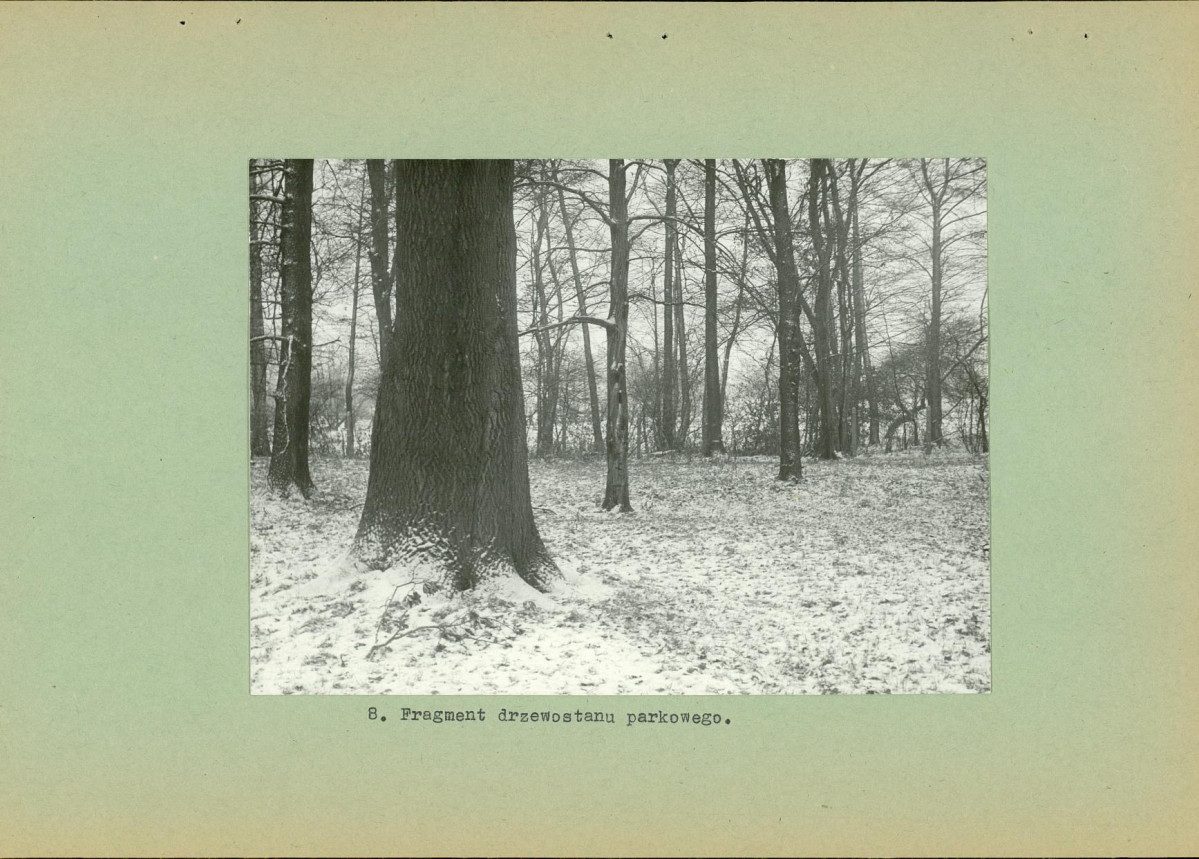 EP - Ewidencja parkowa, skan nr 19