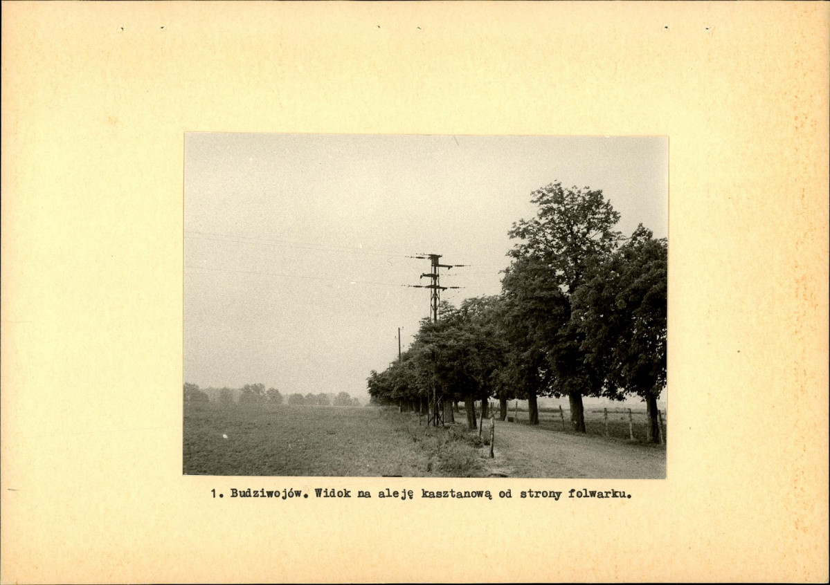 Ewidencja parkowa, skan nr 9